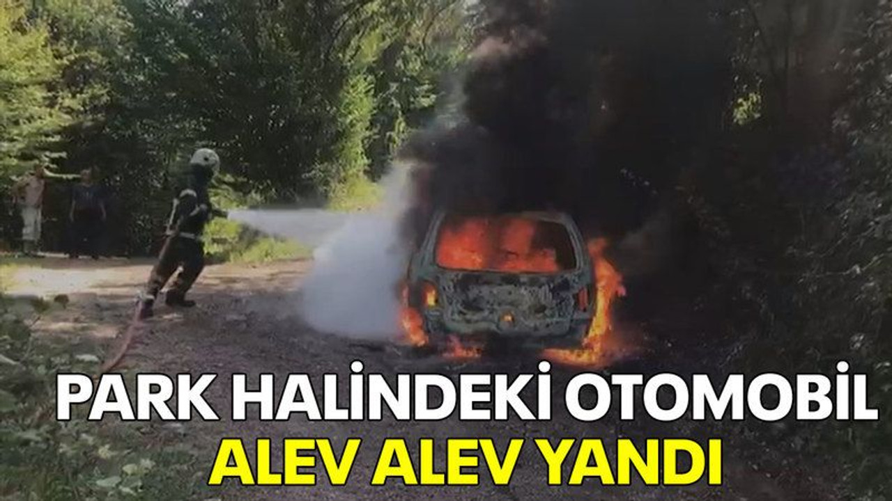 Park halindeki otomobil alev alev yandı